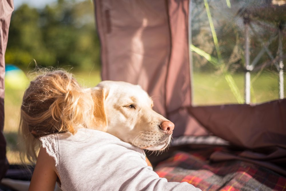 4Pfoten-Urlaub Familienurlaub mit Hund