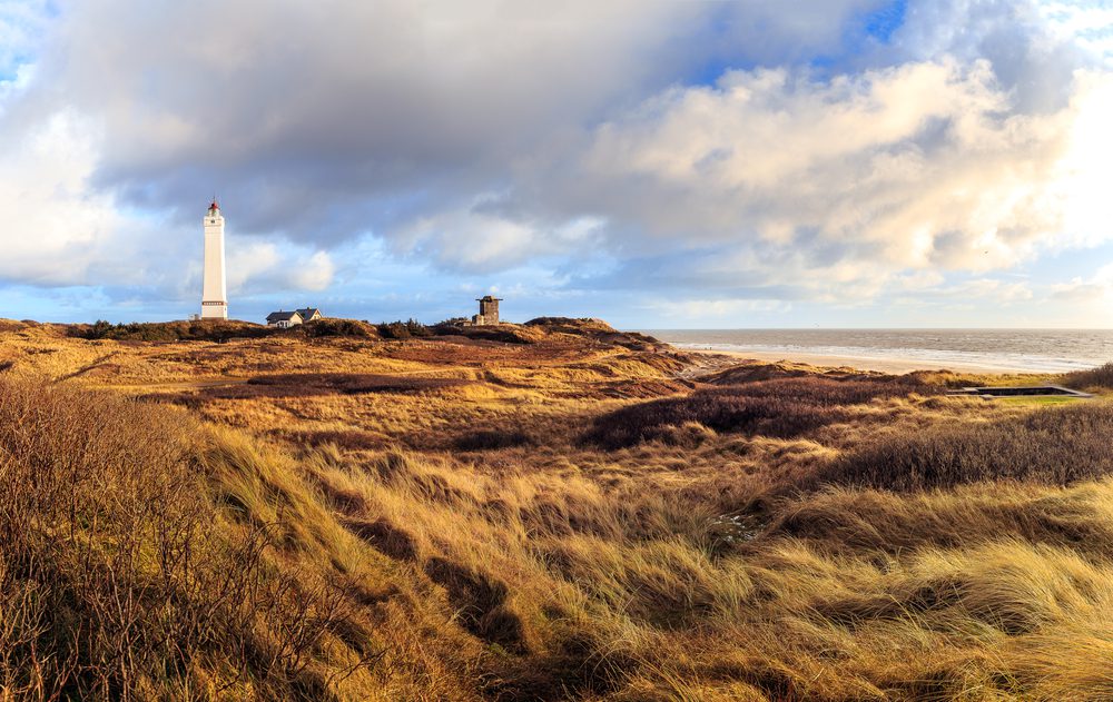 4Pfoten-Urlaub Strandurlaub mit Hund in Blavand