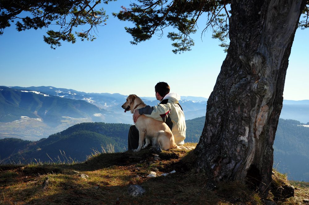 4Pfoten-Urlaub Wandern mit dem Vierbeiner
