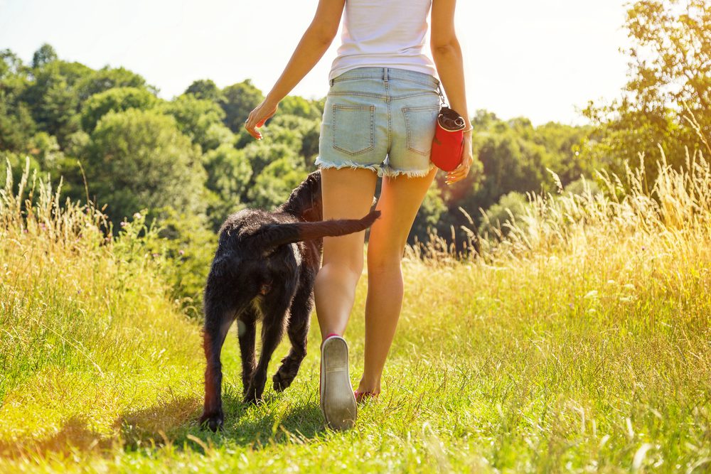 4Pfoten-Urlaub Leckerli beim Wandern