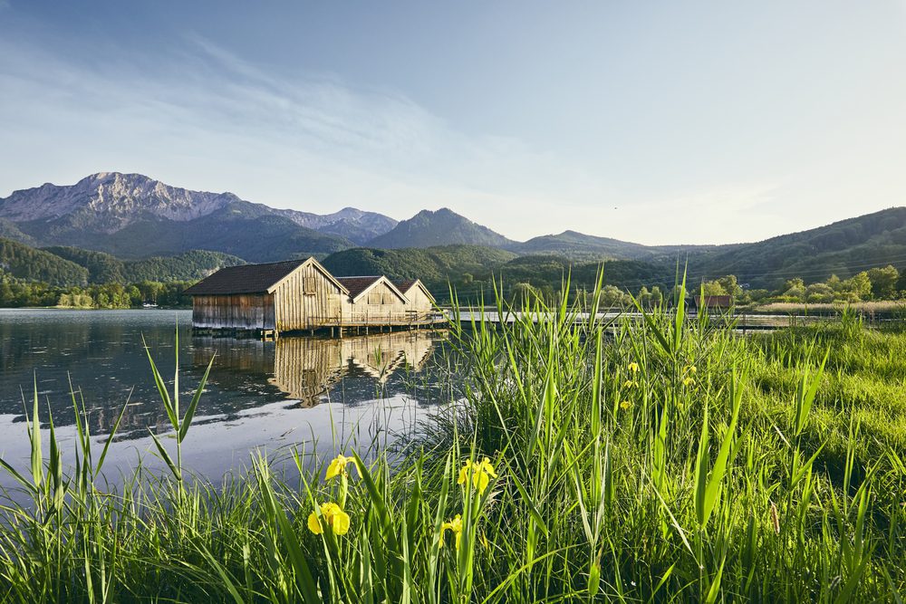 4Pfoten-Urlaub Urlaub mit Hund am Kochelsee