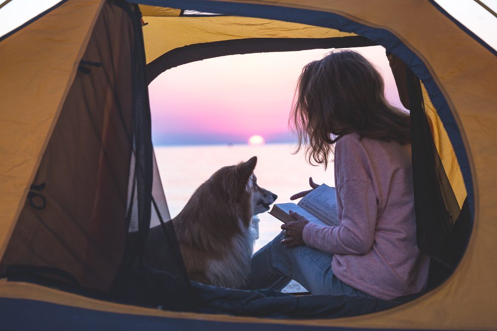 4Pfoten-Urlaub Strandurlaub mit Hund