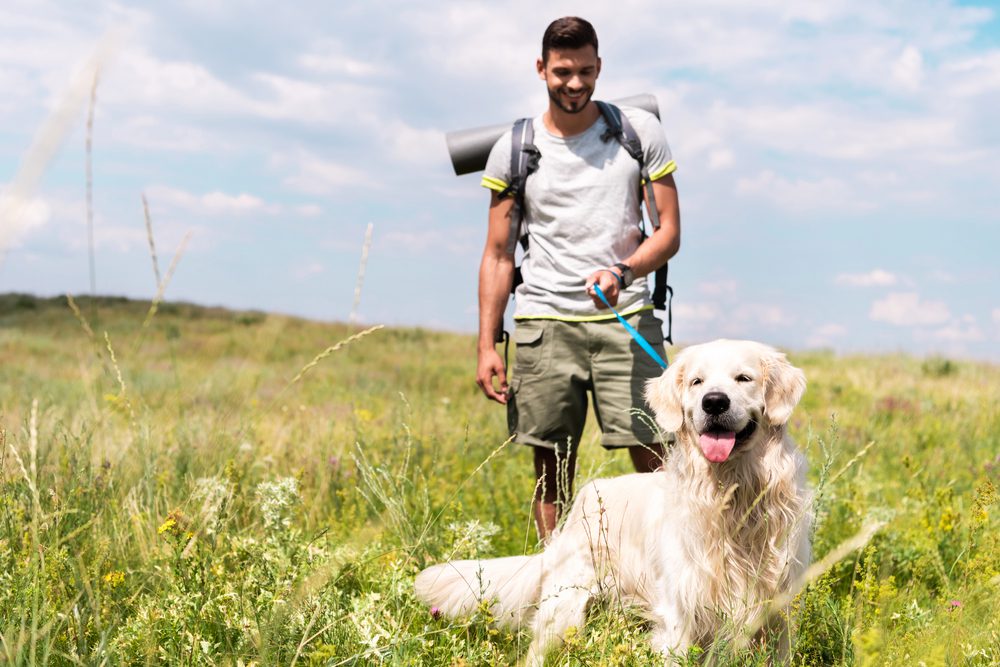 4Pfoten-Urlaub Verreisen mit Hund