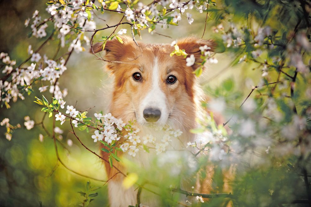 Depositphotos 22360271 S