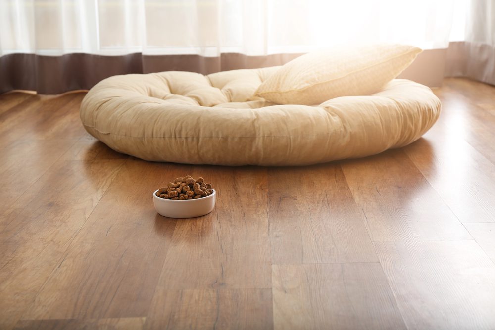 4Pfoten-Urlaub Bett für de Hund
