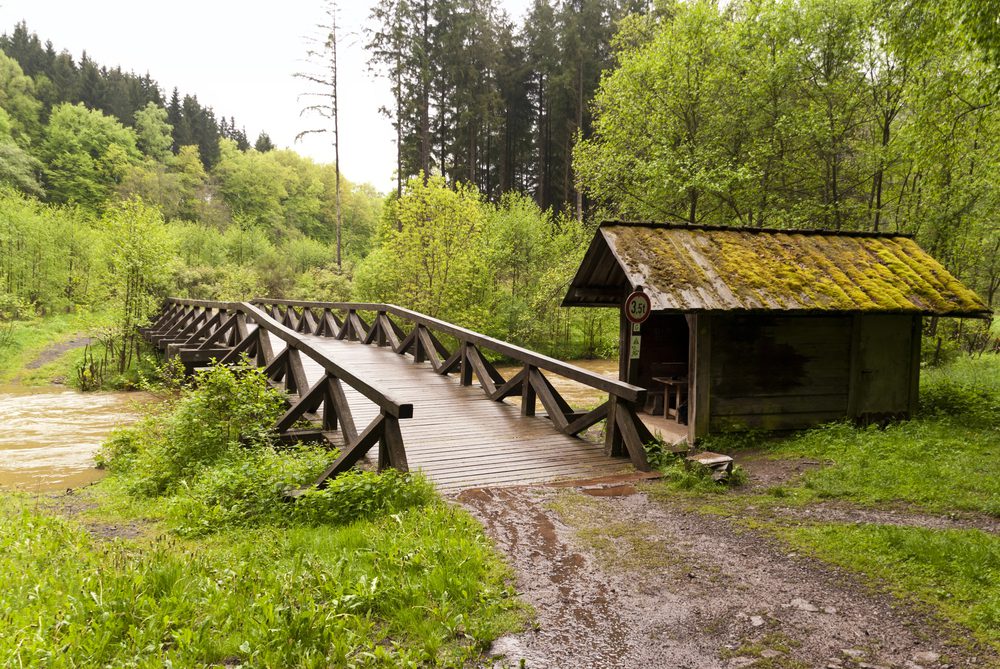 4Pfoten-Urlaub Wanderurlaub mit Hund in der Eifel