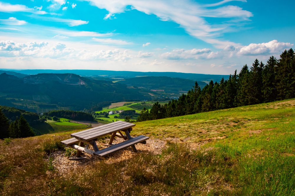 4Pfoten-Urlaub Wandern mit Hund im Sauerland