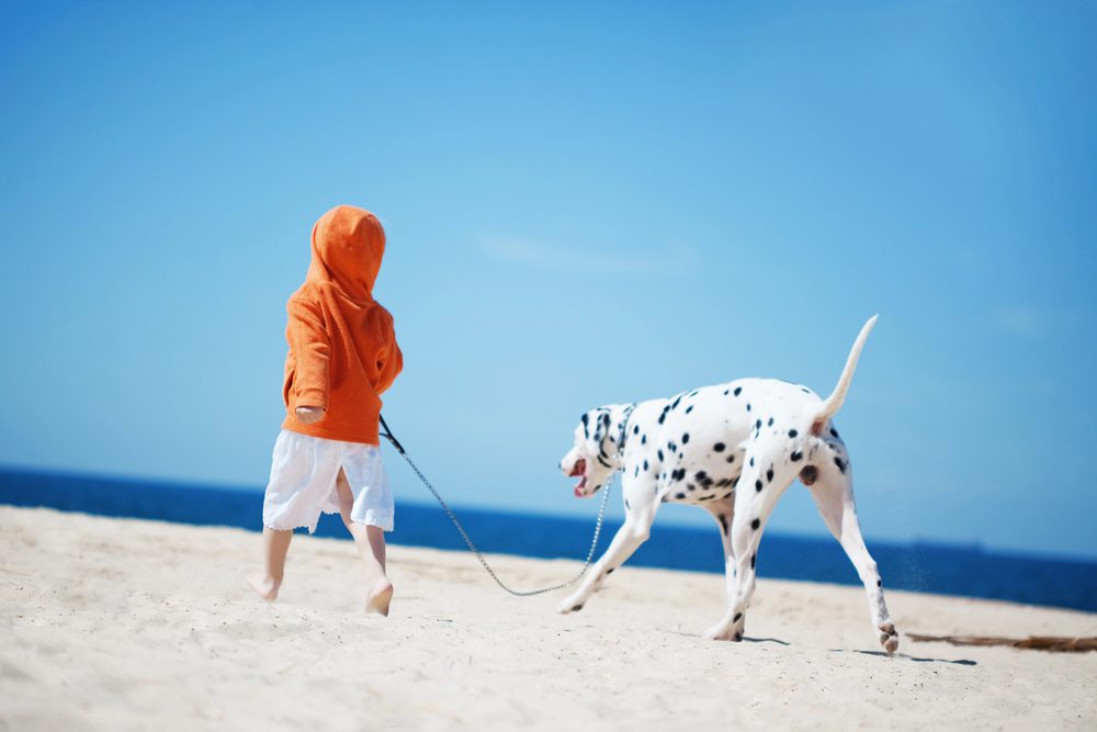 4Pfoten-Urlaub Nettiquette