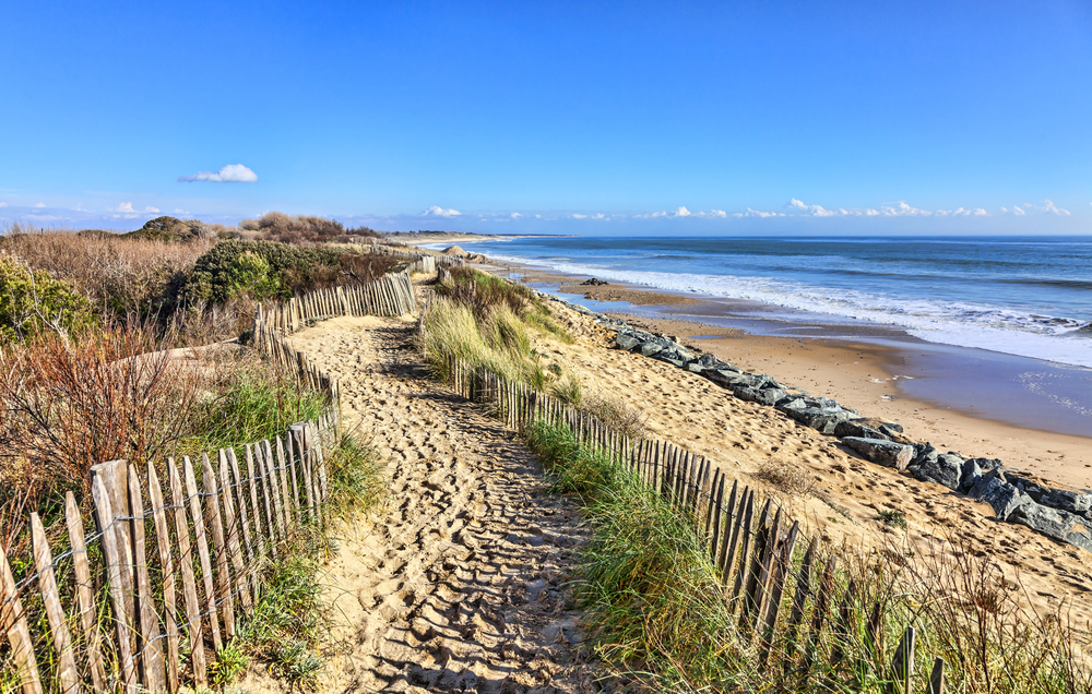 4Pfoten-Urlaub Strandurlaub mit Hund in Frankreich