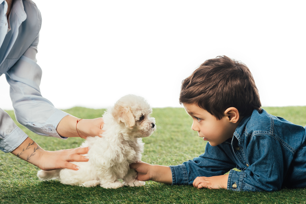 4Pfoten-Urlaub Tiergestütze Ergotherapie für Kinder
