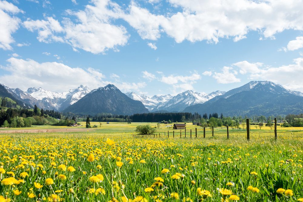 4Pfoten-Urlaub Urlaub mit Hund in den Bergen