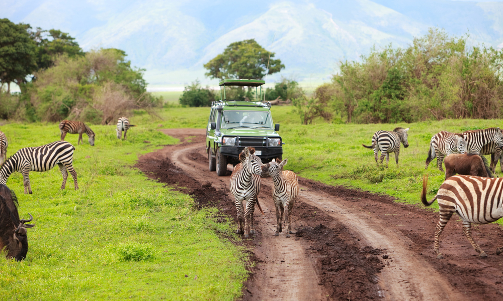 4Pfoten-Urlaub Tour durch Afrika