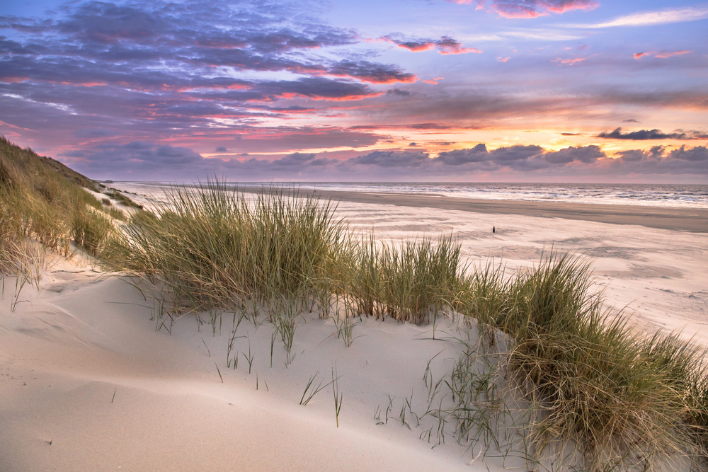 4PFoten-Urlaub Niederlande mit Hund