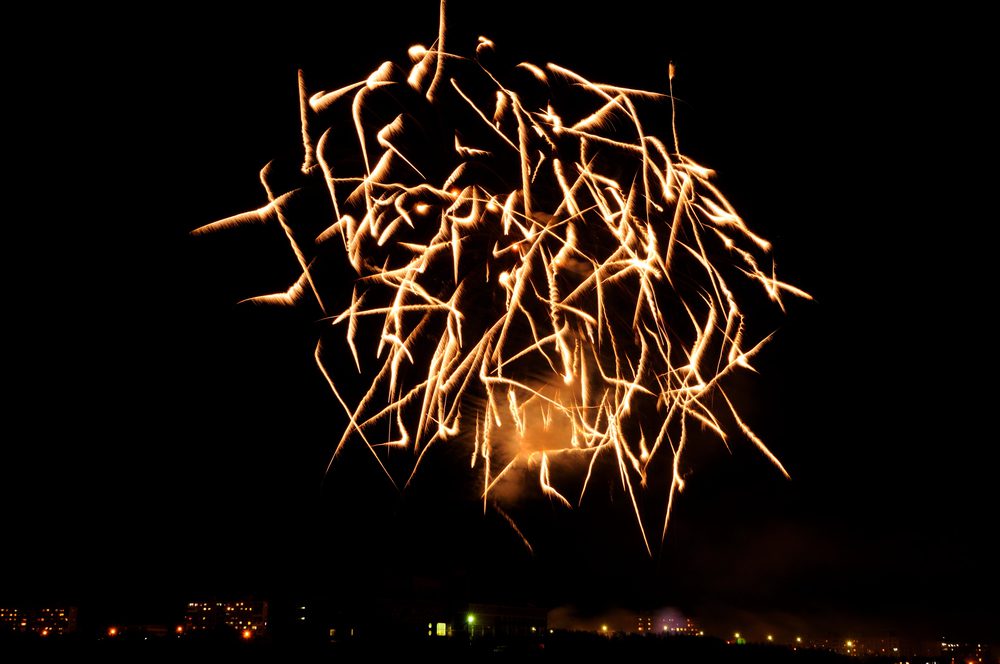 4Pfoten-Urlaub Silvester Böller