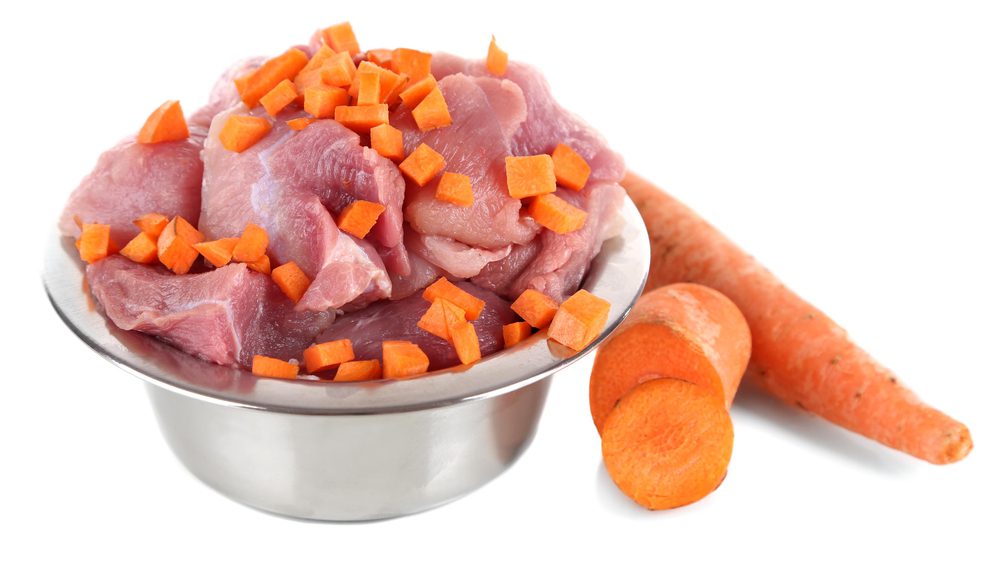 4Pfoten-Urlaub Gesundes Futter für Hunde