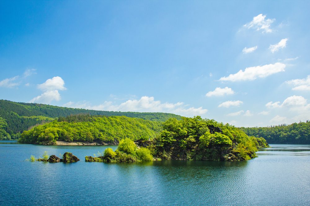 4Pfoten-Urlaub Mit Hund die Eifel im Urlaub erkunden
