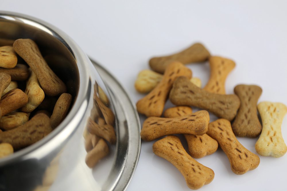 4Pfoten-Urlaub Hundekekse