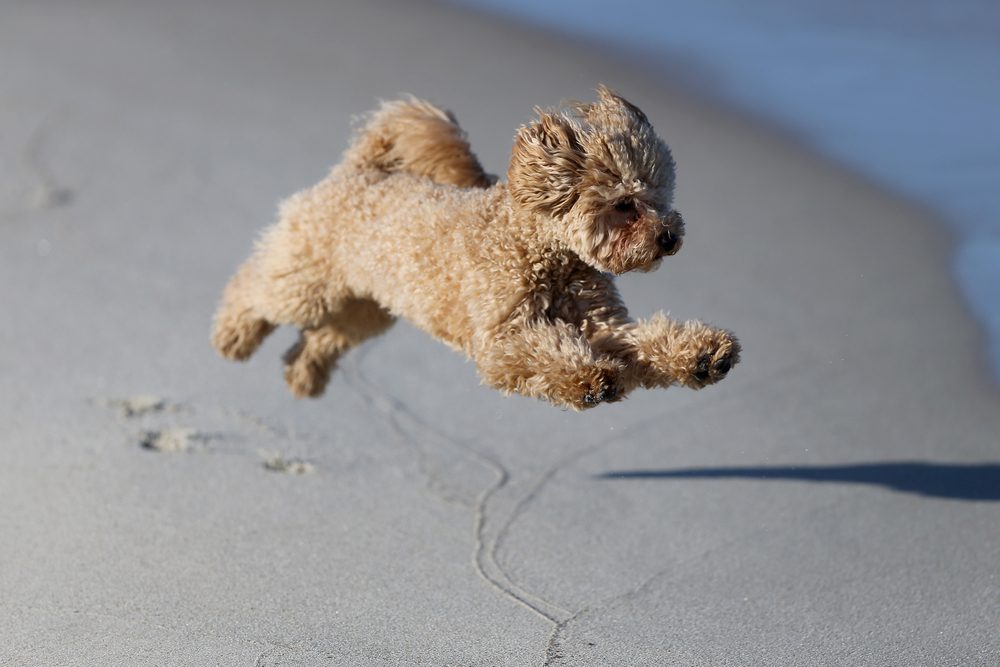 Depositphotos 477051466 S