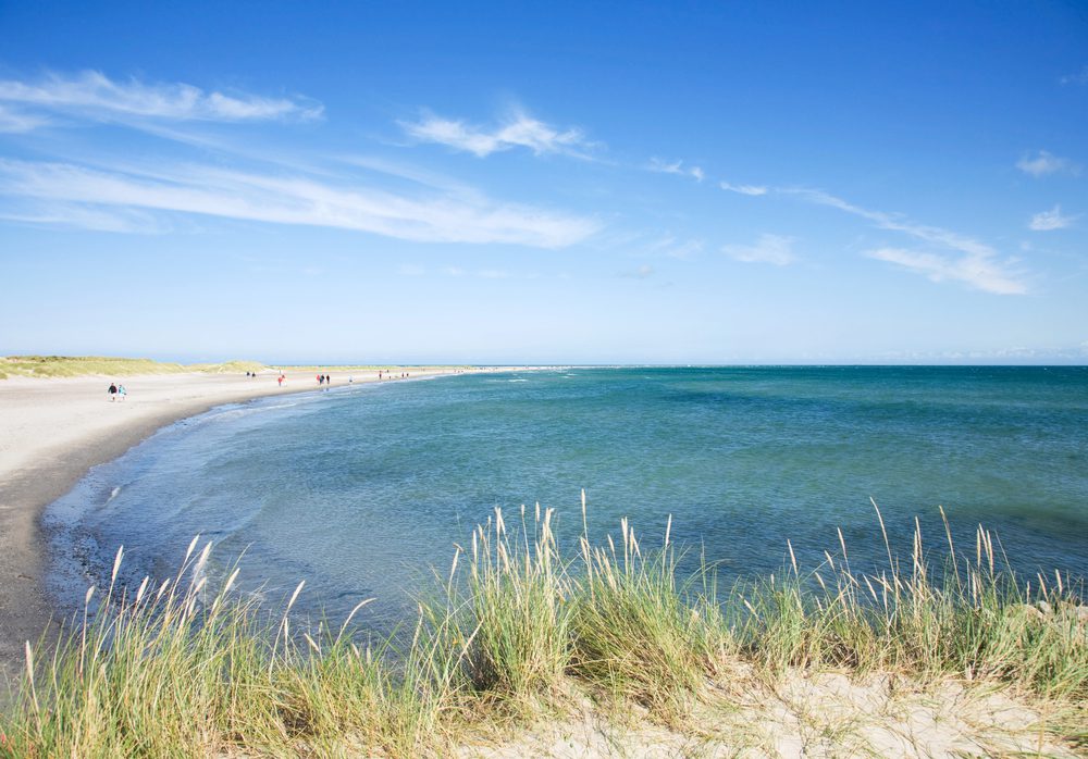 4Pfoten-Urlaub Dänemarkurlaub mit Hund