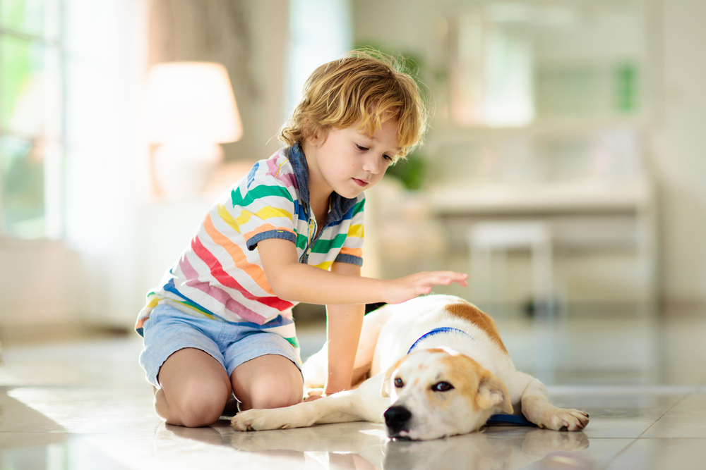4Pfoten-Urlaub Tiergestützte Ergotherapie mit Kind und Hund