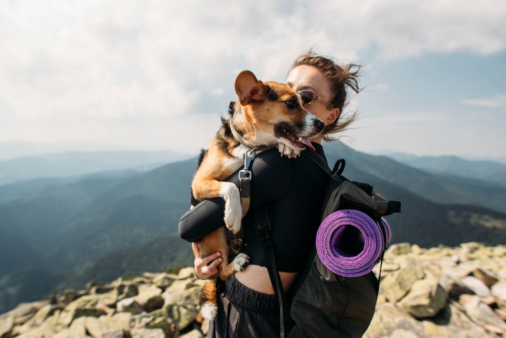 4Pfoten-Urlaub Wanderurlaub mit Hund