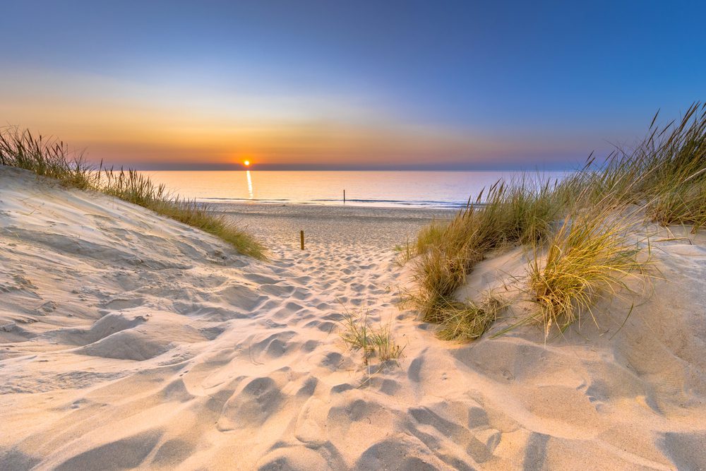 4Pfoten-Urlaub Urlaub mit Hund in Holland