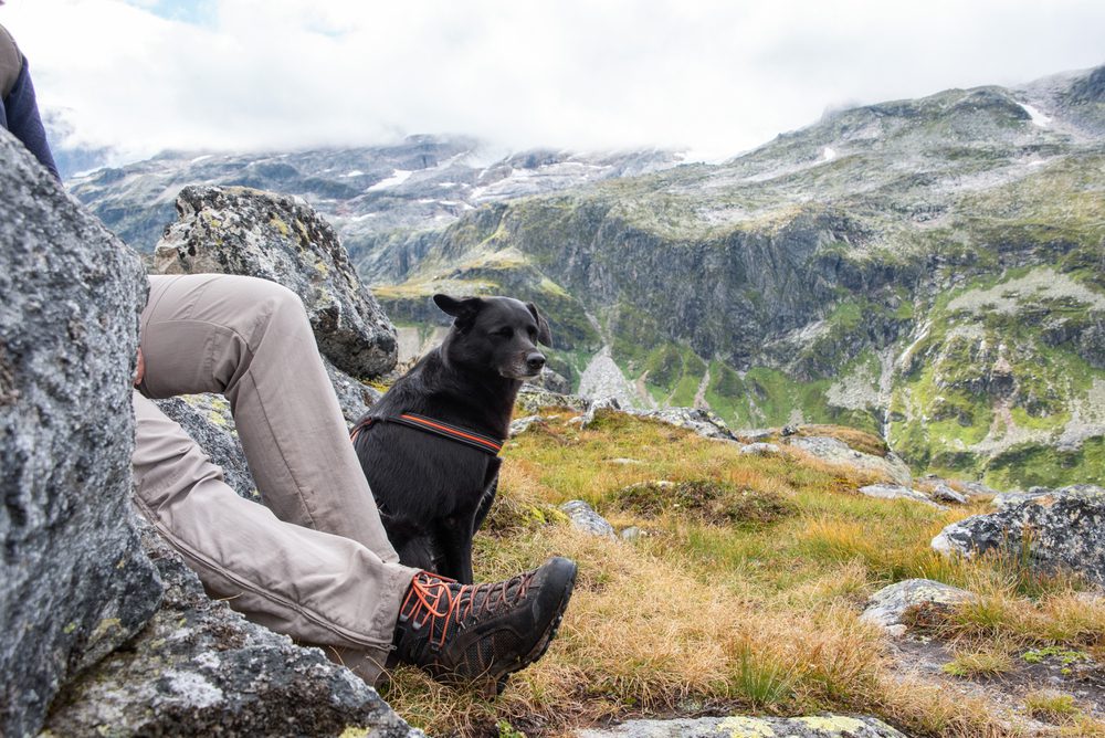 4Pfoten-Urlaub Bergwanderung mit dem Vierbeiner