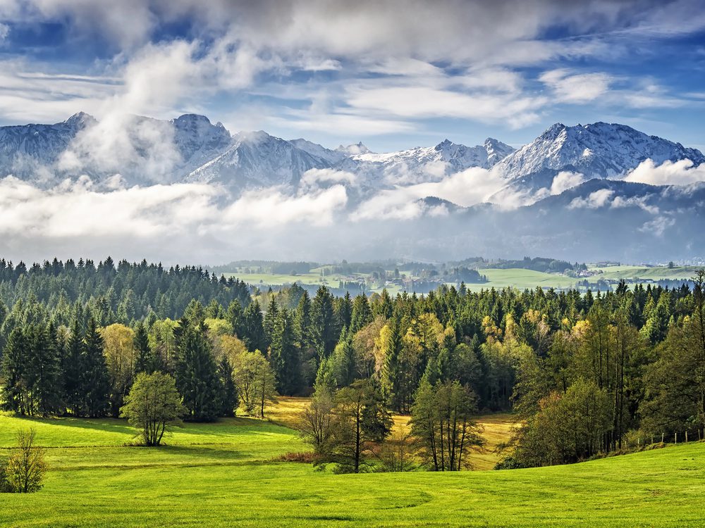 4Pfoten-Urlaub Urlaub mit Hund im Allgäu