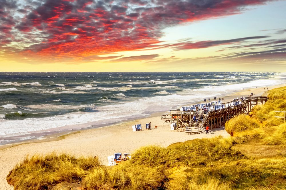 4pfoten-Urlaub Strandurlaub mit Hund
