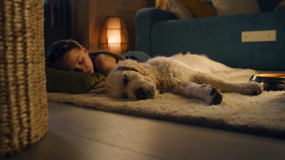 4Pfoten-Urlaub Kind und Hund ruhen sich aus