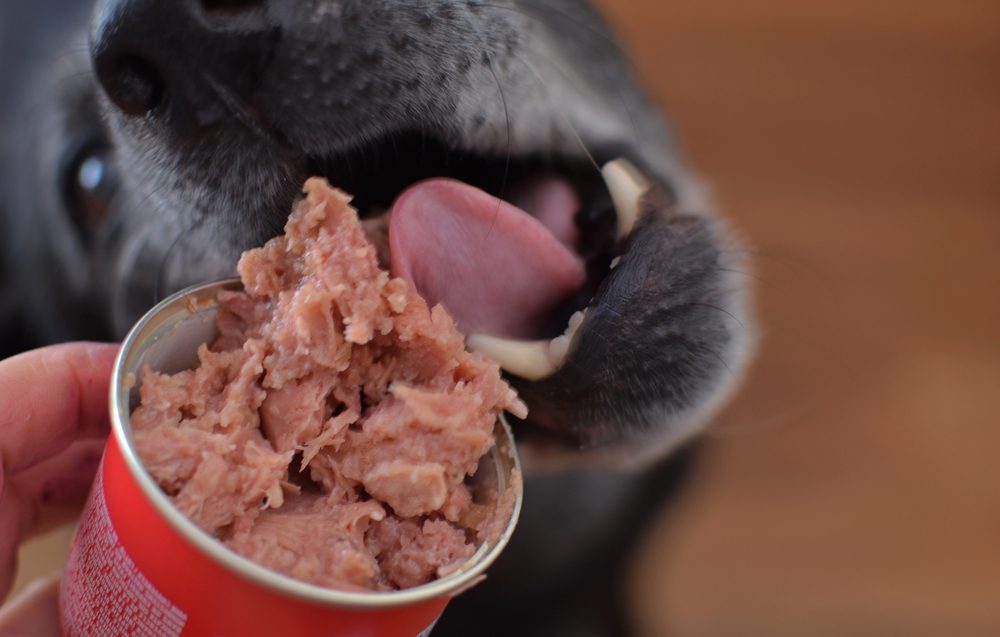 Depositphotos 644364816 S