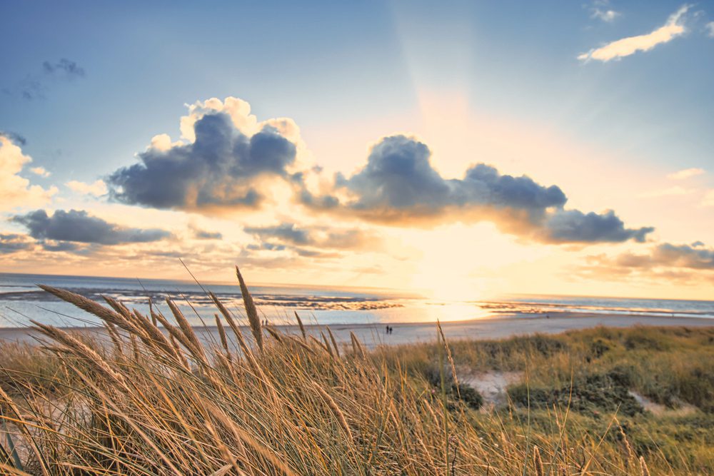 4Pfoten-Urlaub Urlaub mit Hund in Dänemark