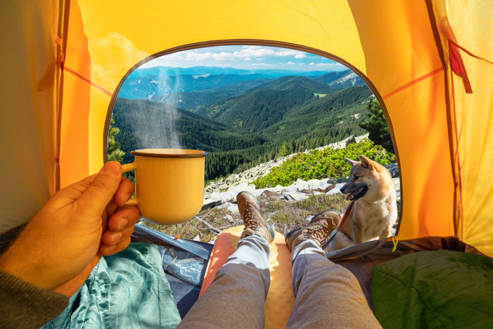 4Pfoten-Urlaub Zelten mit Hund in den Bergen