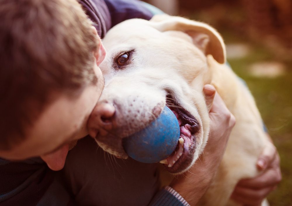 4Pfoten-Urlaub Körperkontakt zum Hund