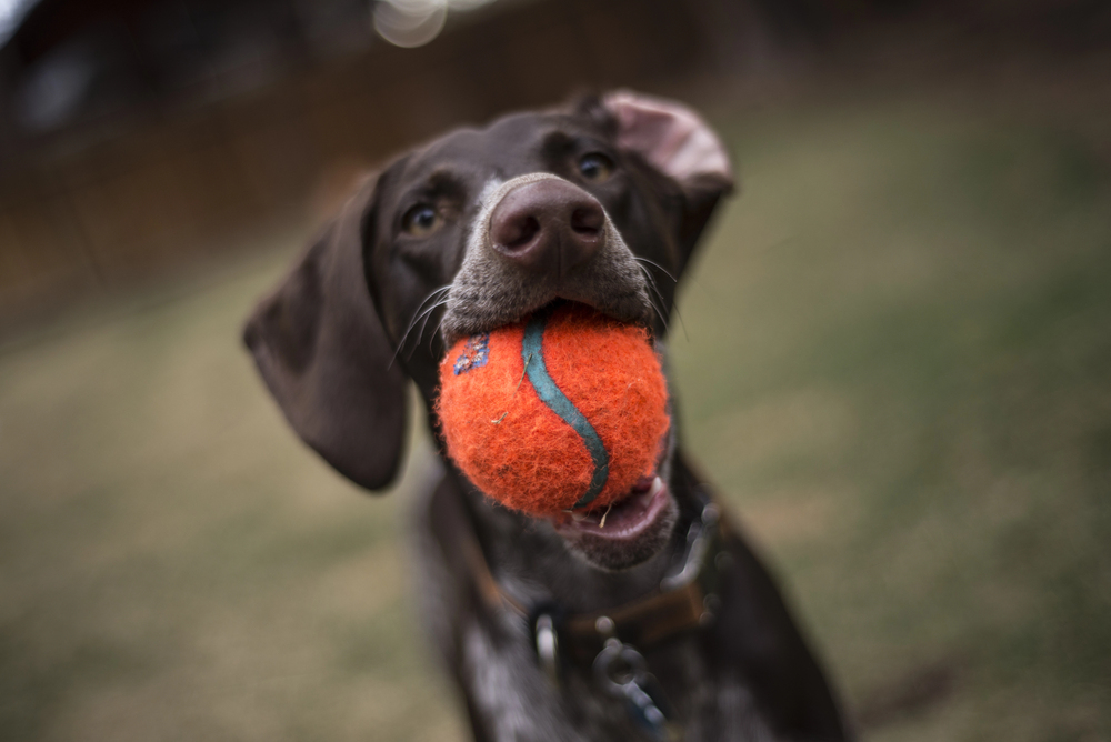 Depositphotos 68407643 S