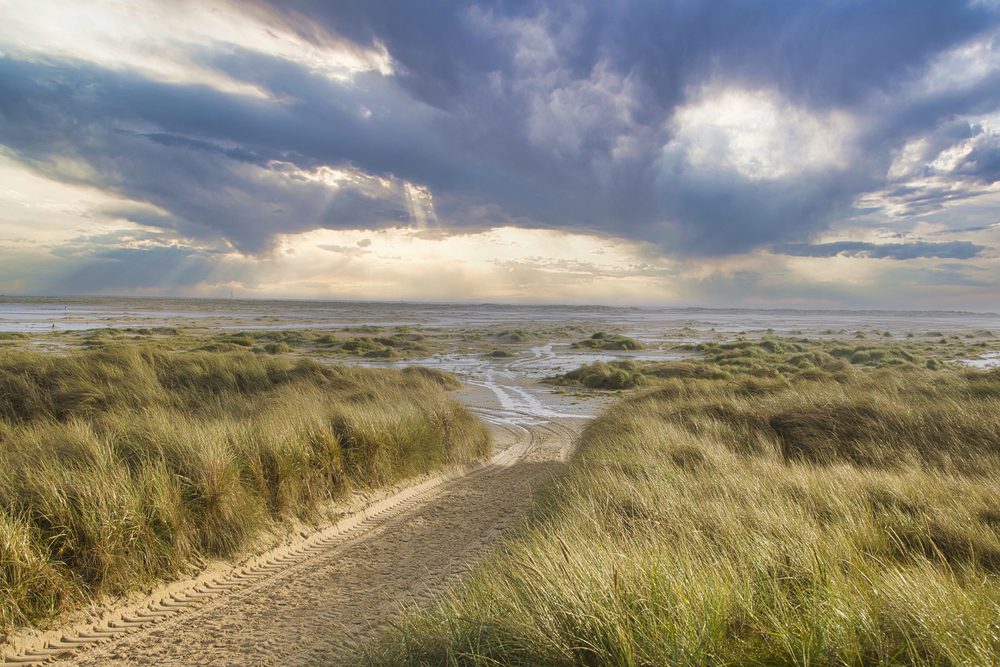 4Pfoten-Urlaub Urlaub mit Hund auf Amrum