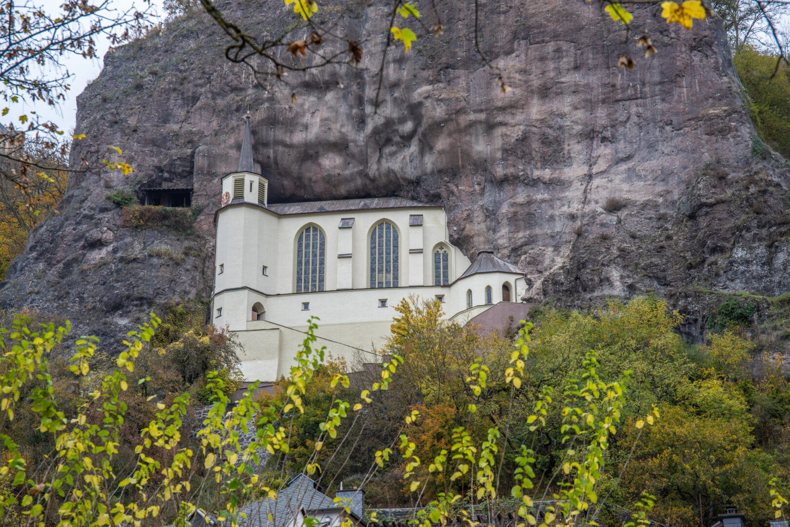 4Pfoten-Urlaub Urlaub mit Hund im Hunsrück