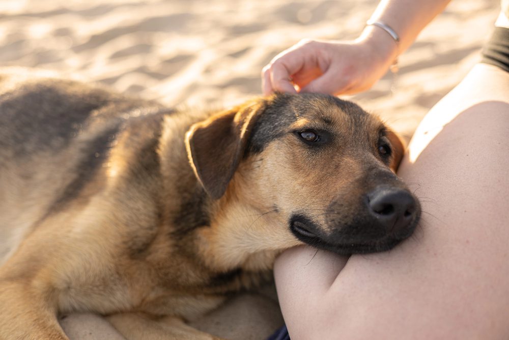 Depositphotos 814994782 S