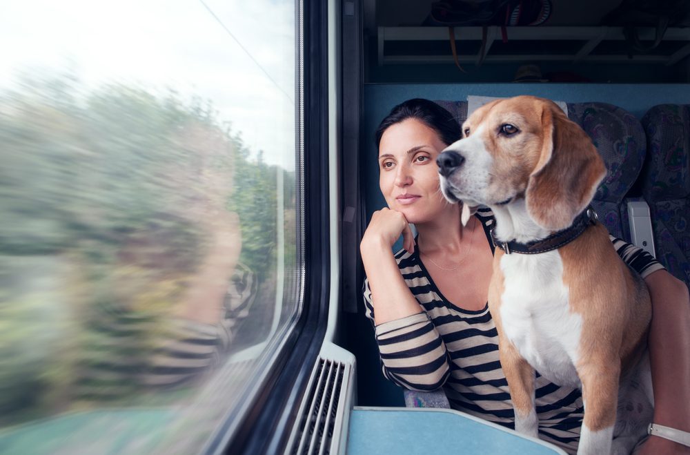 4Pfoten-Urlaub Bahnreise mit HUnd