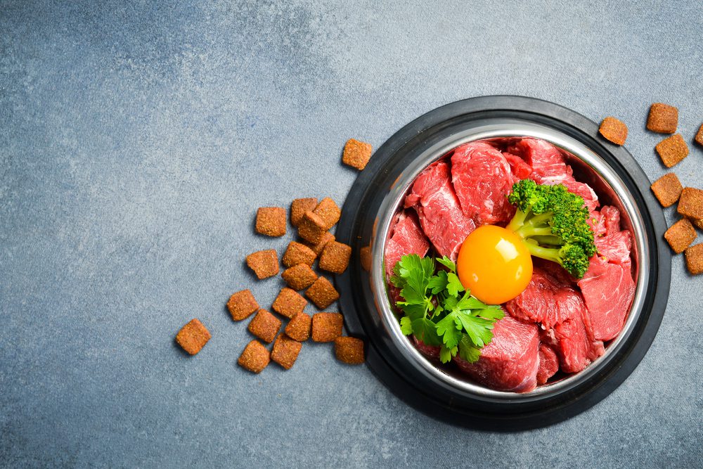 Depositphotos 835551068 S