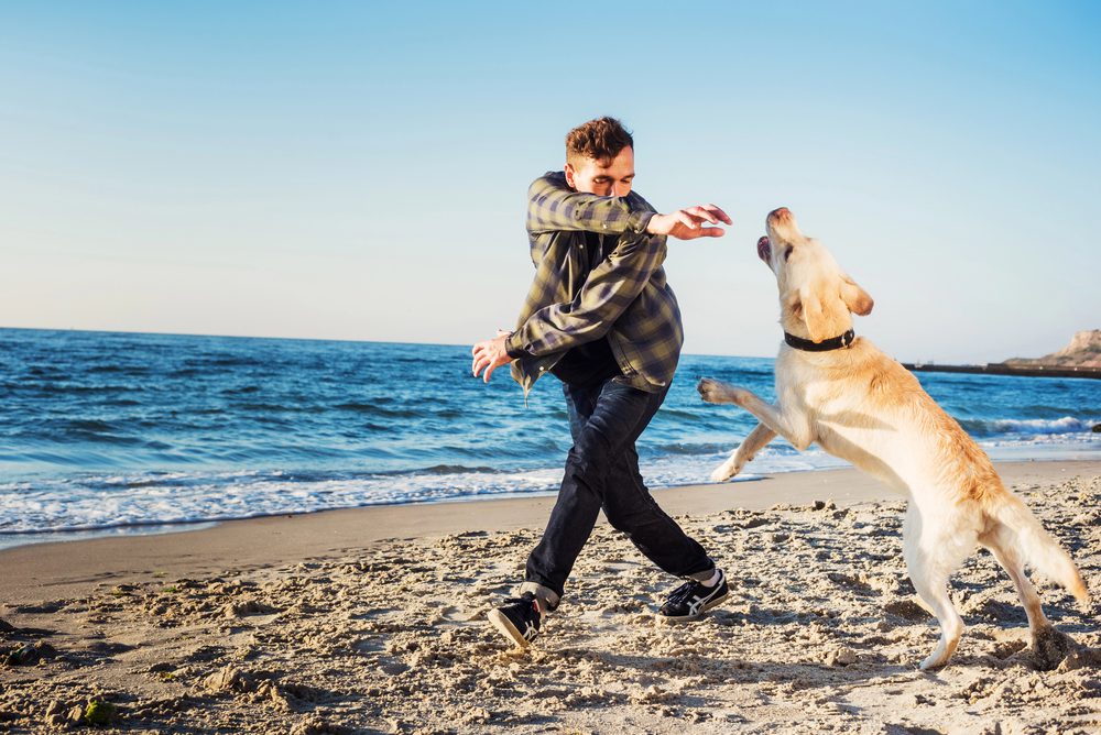 4Pfoten-Urlaub Mann speilt mit Hund am Wasser