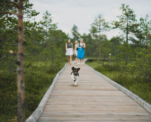 4Pfoten-Urlaub Reisen mit Hund