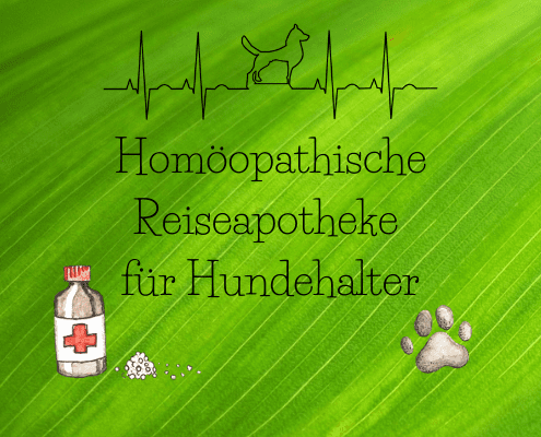 Gesundheit für den Vierbeiner