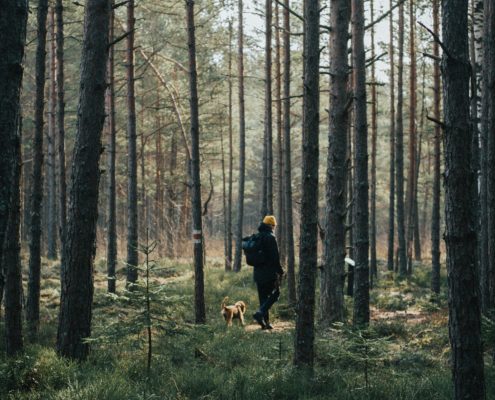 Wandern mit Hund