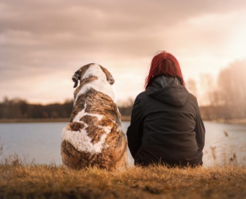 4Pfoten-Urlaub Hund und Frauchen