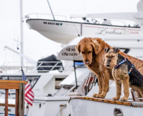 4Pfoten-Urlaub Hausboot Urlaub mit Hund