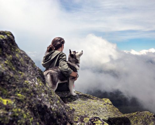 Urlaub mit Hund aber sicher