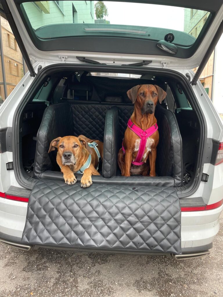 Sam und Holly im Auto