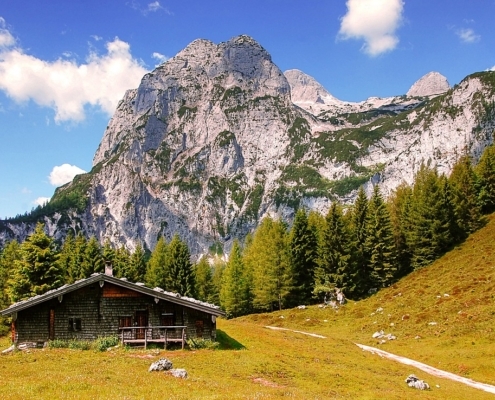 4Pfoten-Urlaub – Urlaub mit Hund im Berchtesgadener Land