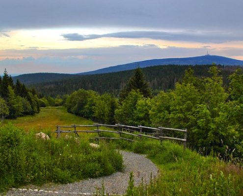 4Pfoten-Urlaub Harz mit Hund